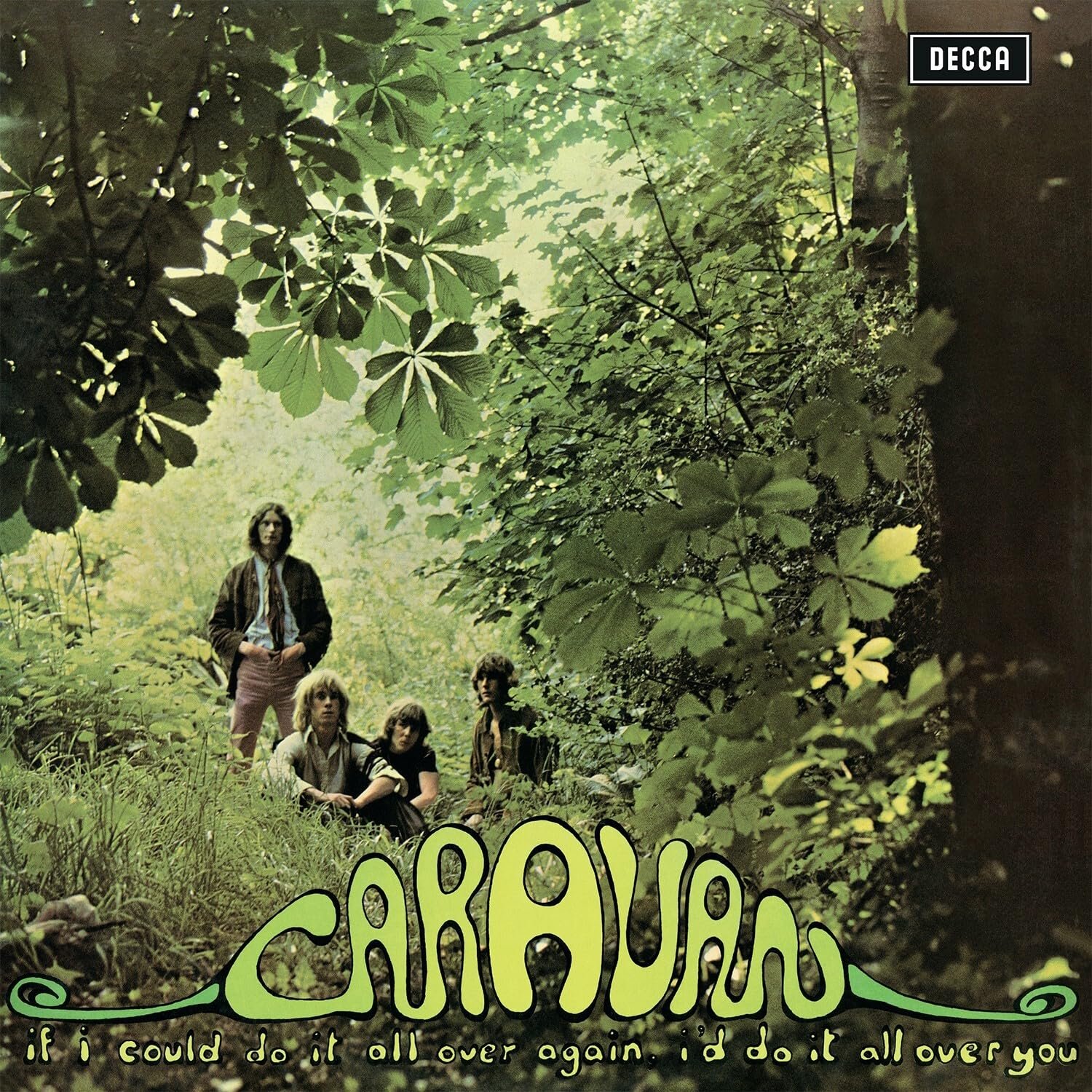 If I Could Do It All Over Again, I'd Do It All Over You [VINYL]