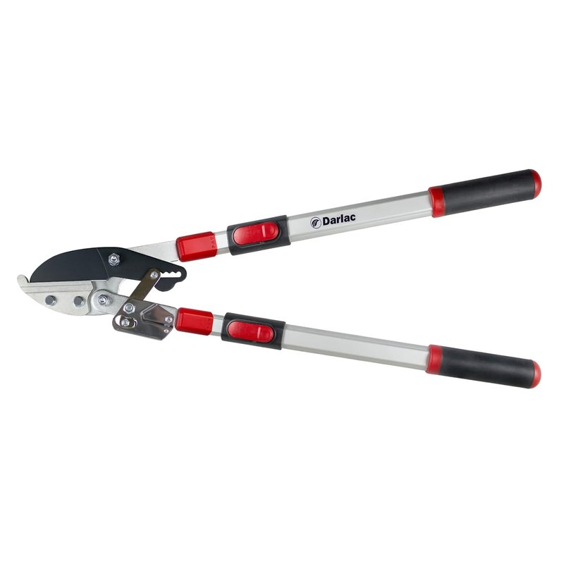 Darlac Telescopic Ratchet Lopper – Recommended by Professionals – Extendable Handles – Powerful Ratchet Action – 50mm Cut Capacity – Ideal for Gardeners with Dexterity Issues - SK5 Carbon Steel Blade
