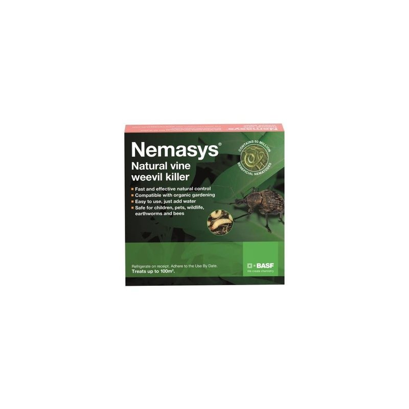 Nemasys Vine Weevil Killer 100 Sq. M, Next-Day Delivery