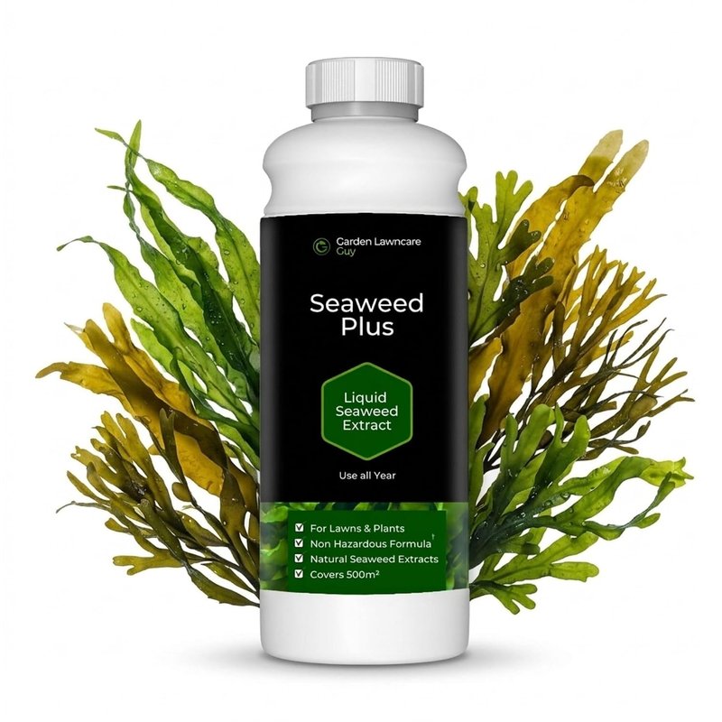 Seaweed Liquid Fertiliser - Lawn Feed & Plant Food - Bio Stimulant for Grass, Fruits, Vegetables & Flowers - 1L 500m² - Garden Lawncare Guy