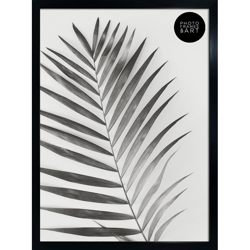 pf+a Perspex Window Black A2 Frame - A2 Poster Frame / A2 (59.4x42cm) Frame Portrait and Landscape Display