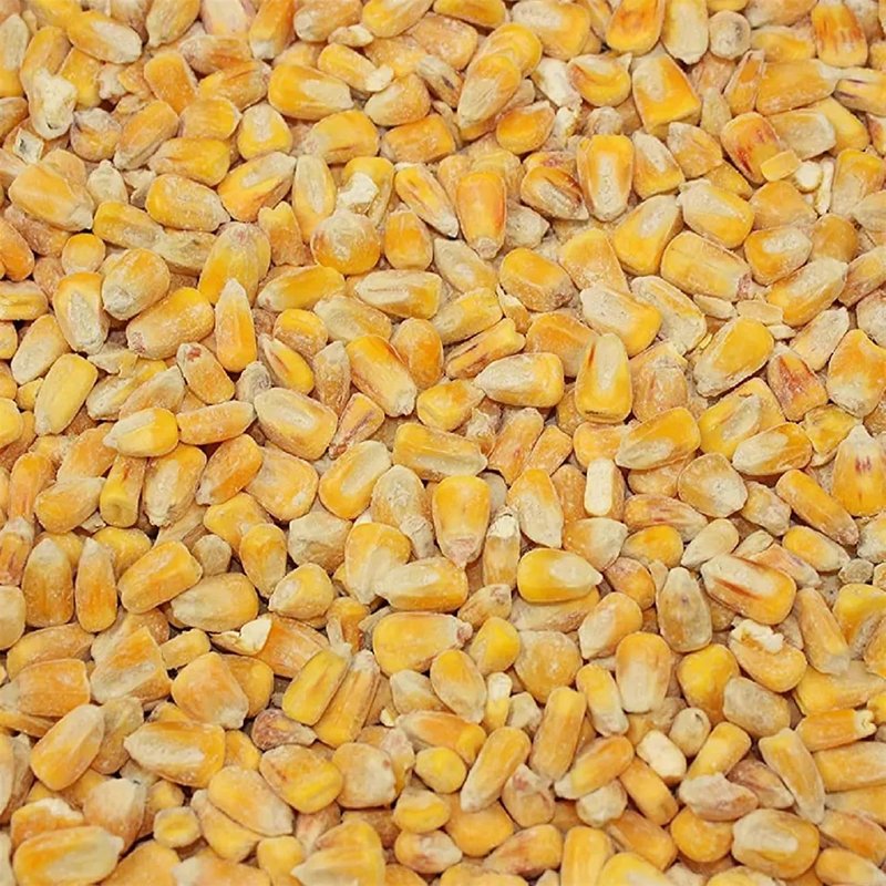 Copdock Mill Whole Maize Chicken Feed, 20kg - Premium Quality Yellow Maize - 100% Natural High In Fat and Rich In Energy Complementary Feed - Suitable for Poultry, Doves, Pigeons, Water and Game Birds