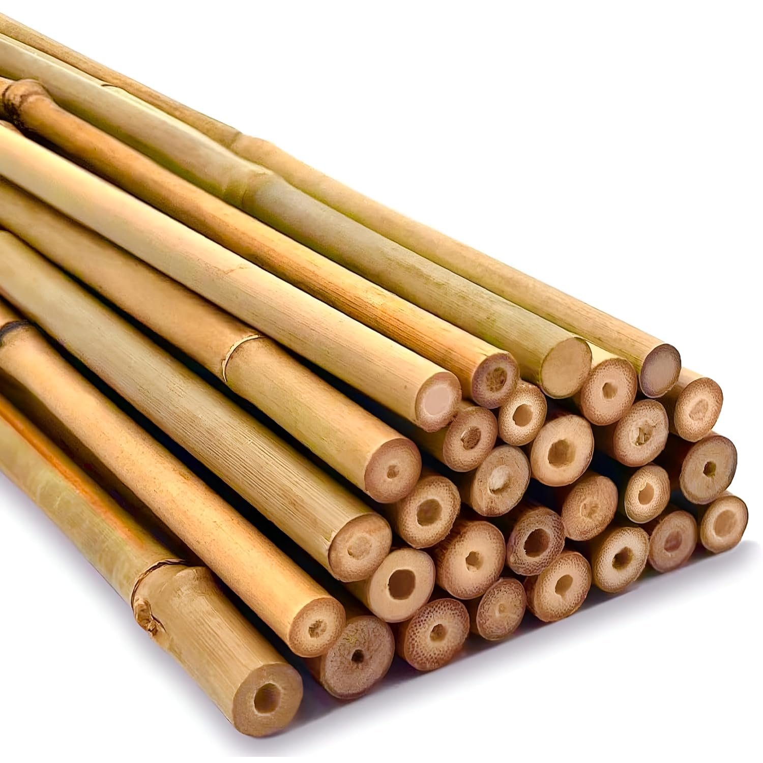 Strong Heavy Duty Professional Bamboo Canes for Plant Support - Multiple Lengths 2ft - 8ft Garden Stakes, Durable large Garden Canes Sturdy & Natural Bamboo Sticks for Plants Size (6ft, 250, 14-16mm)
