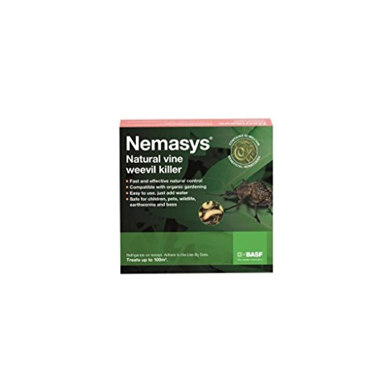 Nemasys Vine Weevil Killer 100sqm