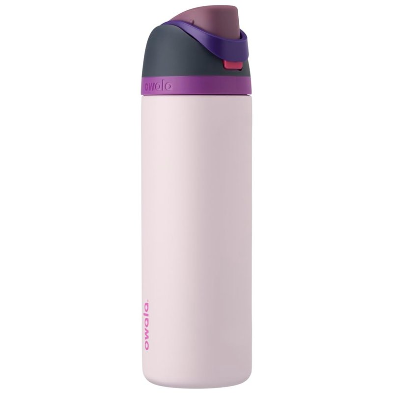 Owala FreeSip Insulated Stainless Steel Water Bottle with Straw for Sports and Travel, Leak Proof, BPA-Free, 710ml, Dreamy Field