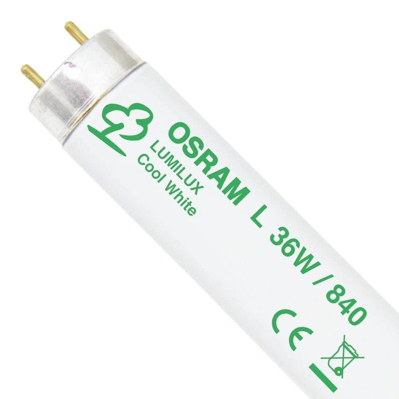 Osram L 36 W/840 Cool White