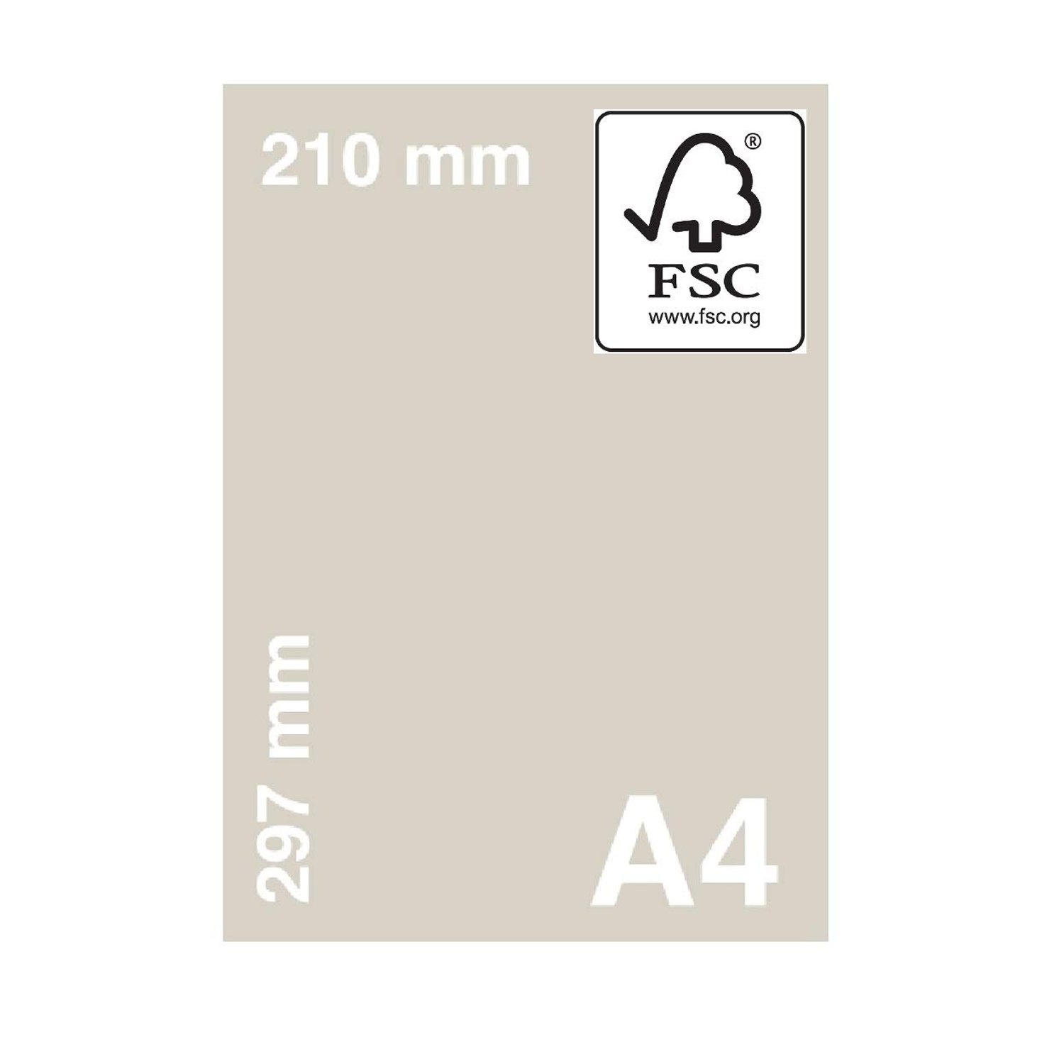 A4 Dark Orange Colour Paper 80gsm Sheets Double Sided Printer Paper Copier Origami Flyers Drawing School Office Printing 210mm x 297mm (A4 Dark Orange Paper - 80gsm - 2500 Sheets)