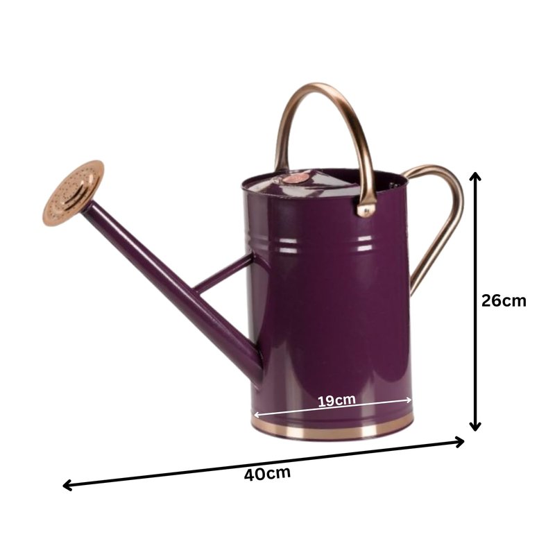 Garden Mile 4.5L Violet Purple Watering Can Outdoor All Year Round Plant Waterer Made From Galvanised Steel Metal Watering Cans For The Garden With Handle And Detachable Rose Rust-resistant
