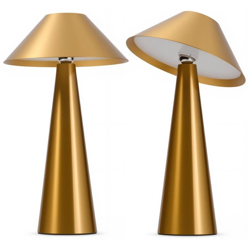 Bojim 2 Gold Mushroom Table Lamp LED Touch Battery Operated USB Rechargeable Swivel Head for Home, Modern Brass Lamps Portable Wireless Bedside Reading IP54 Waterproof Cordless Outdoor Garden Kitchen