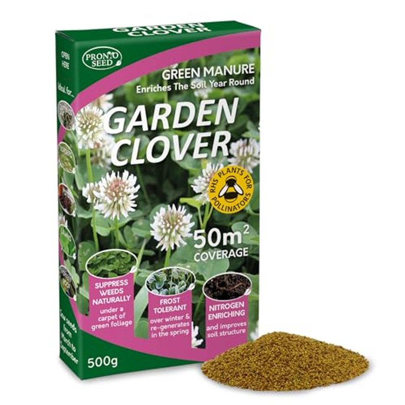 Pronto Seed White Clover Seeds 500g - Fast Growing Winter Ground Cover & Green Manure - Low Maintenance Garden Soil Improver with Nitrogen Fixing Roots - Bird & Bee Friendly (500g)