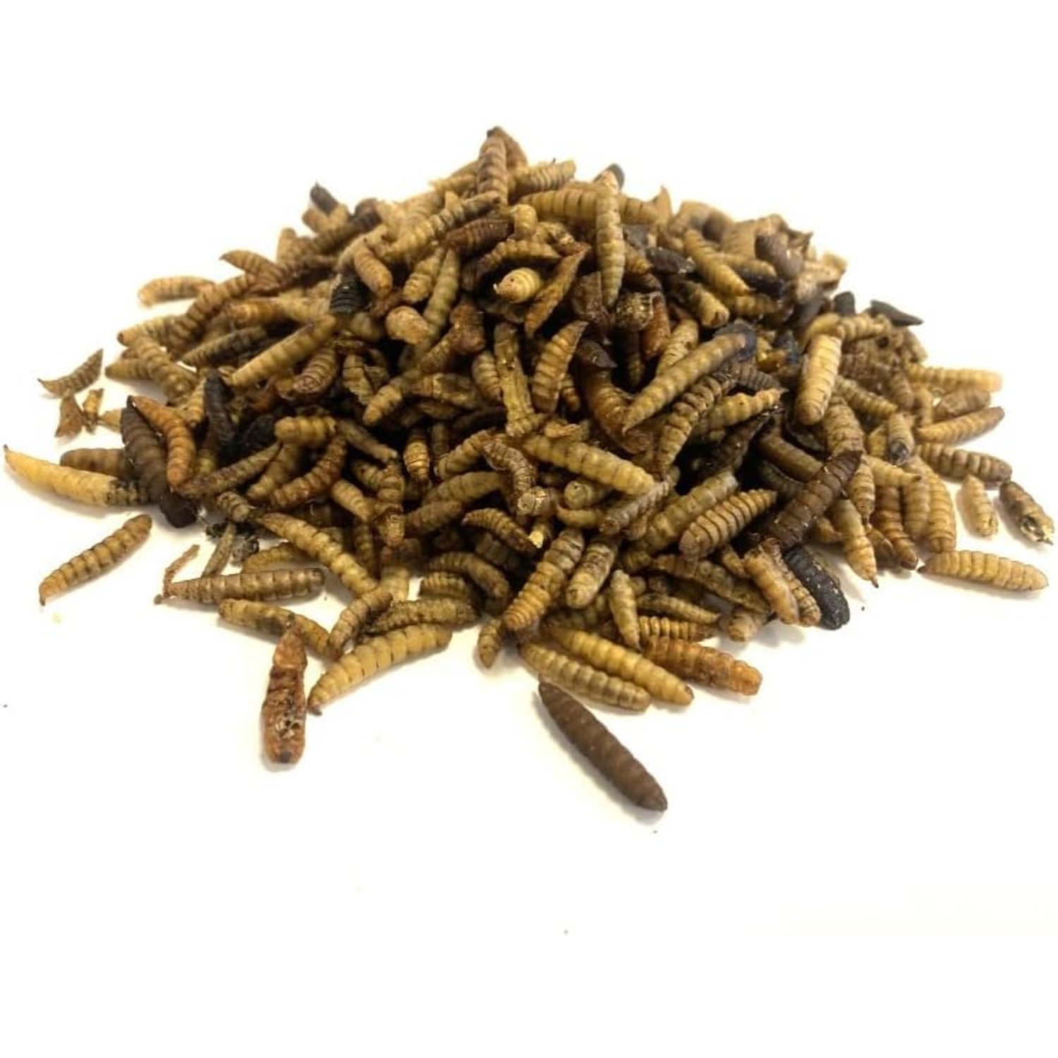 Dried Calciworms 5kg Premium Wild Bird & Hedgehog Food