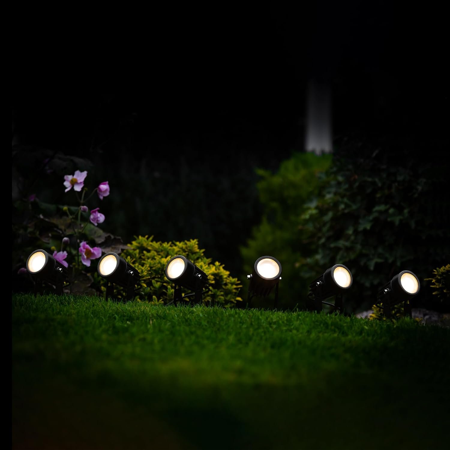 SolarCentre® Atlas Solar Powered Outdoor Spotlights (Set of 6)