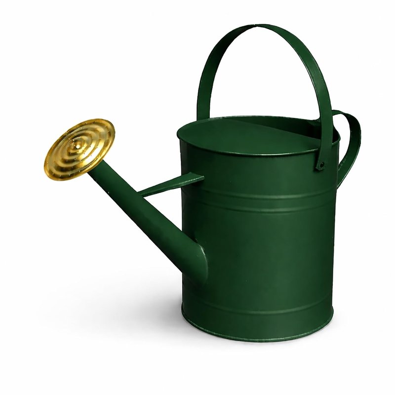 CrazyGadget® Garden Plant Flower Colour Galvanised Metal Steel Watering Can 9L 9 Litre / 2 Gallon with Brass Rose (Dark Green)