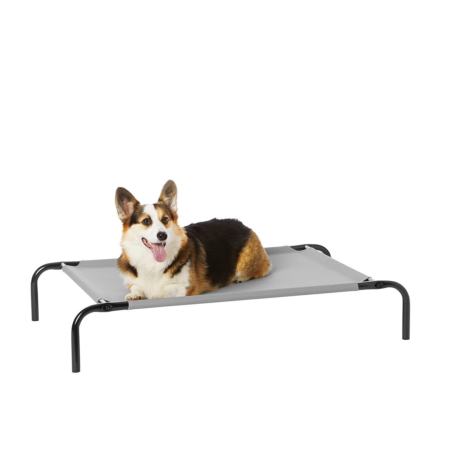 Amazon Basics Raised Dog Bed, Cooling Breathable Elevated Pet Bed, M, Grey, 110 x 65 x 19 cm (L x W x H)