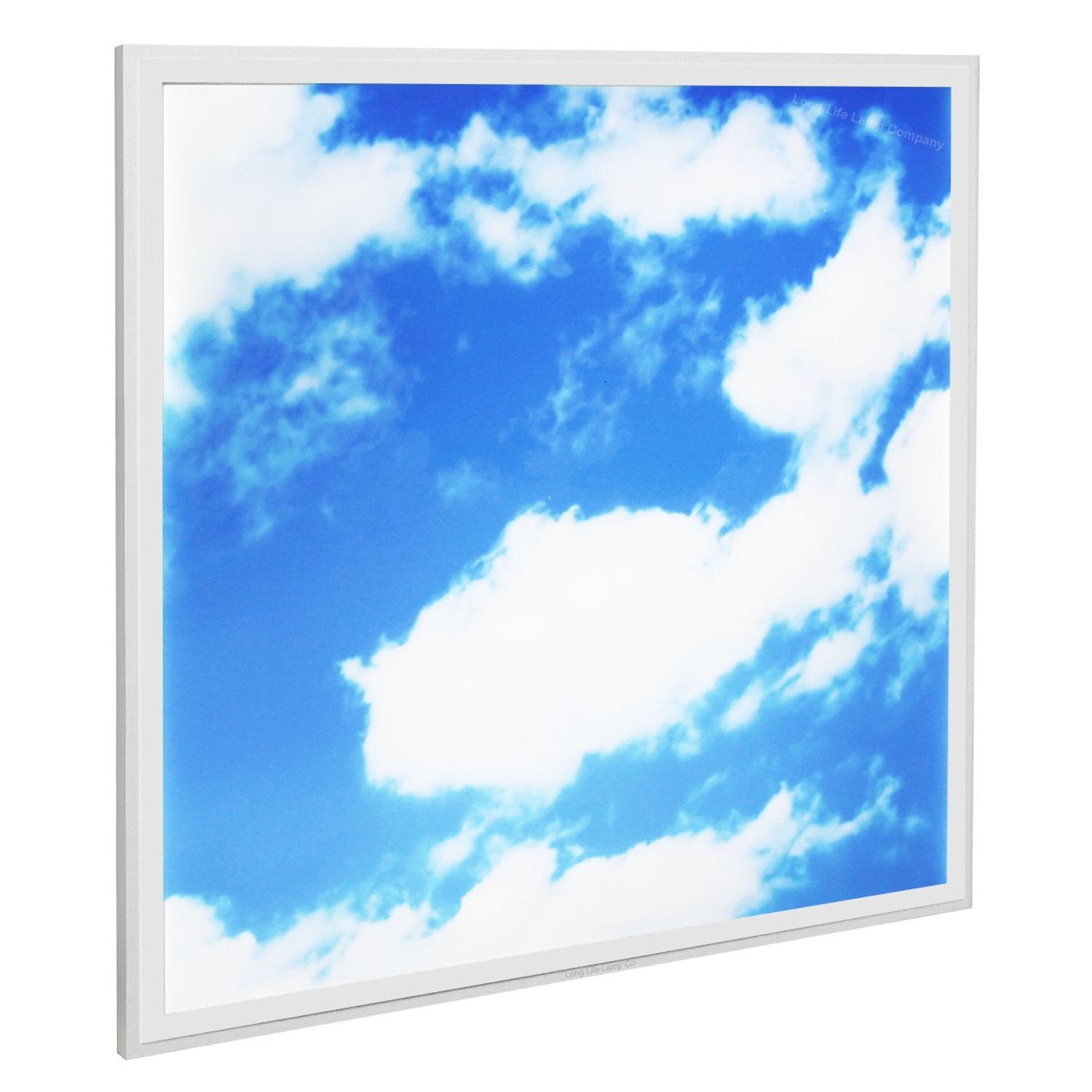 Long Life Lamp Company 40w Sky LED Ceiling Panel 600 x 600 Cloud Scene Recessed Office Light with Transformer