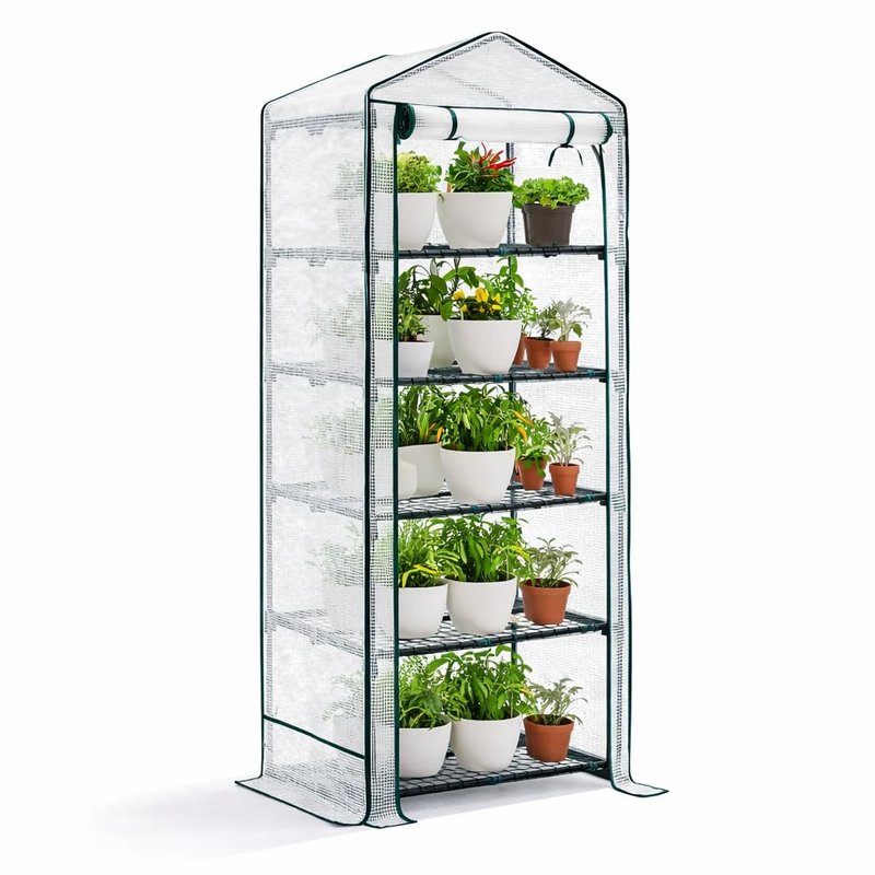 Bramble - 5 Tier Mini Compact Greenhouse 6.3ft, Reinforced PVC Cover, Easy No Tool Assembly Steel Frame, for Small Garden Grow House Plants - H193cm x W69cm x D49cm