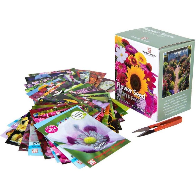 Flower Seed Box Bumper Pack Includes 40 Different Varieties Aster, Cosmos, Sunflower, Poppy, Pansy and More Plus 1 Pair of Garden Snips, 1 x Flower Seed Bumper Pack by Thompson and Morgan