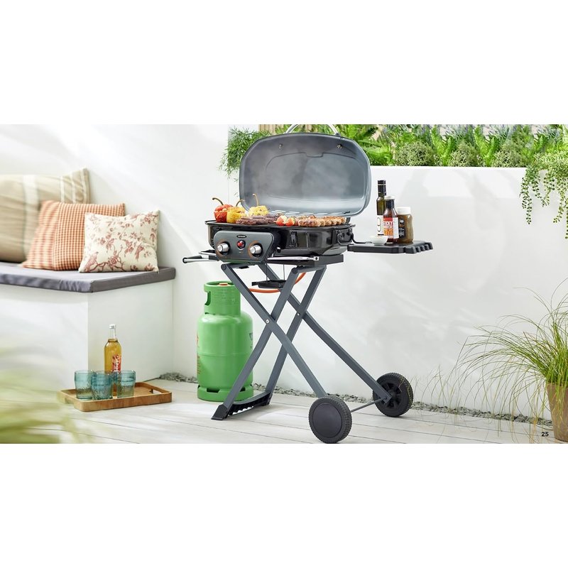 BBQ Barbecue Portable Gas Grill 2 Burner Porcelain enamel coated steel wire grill for easy cleaning, High heat output Dimensions113x53x92cm, Foldable design with wheels Push Button Ignition.
