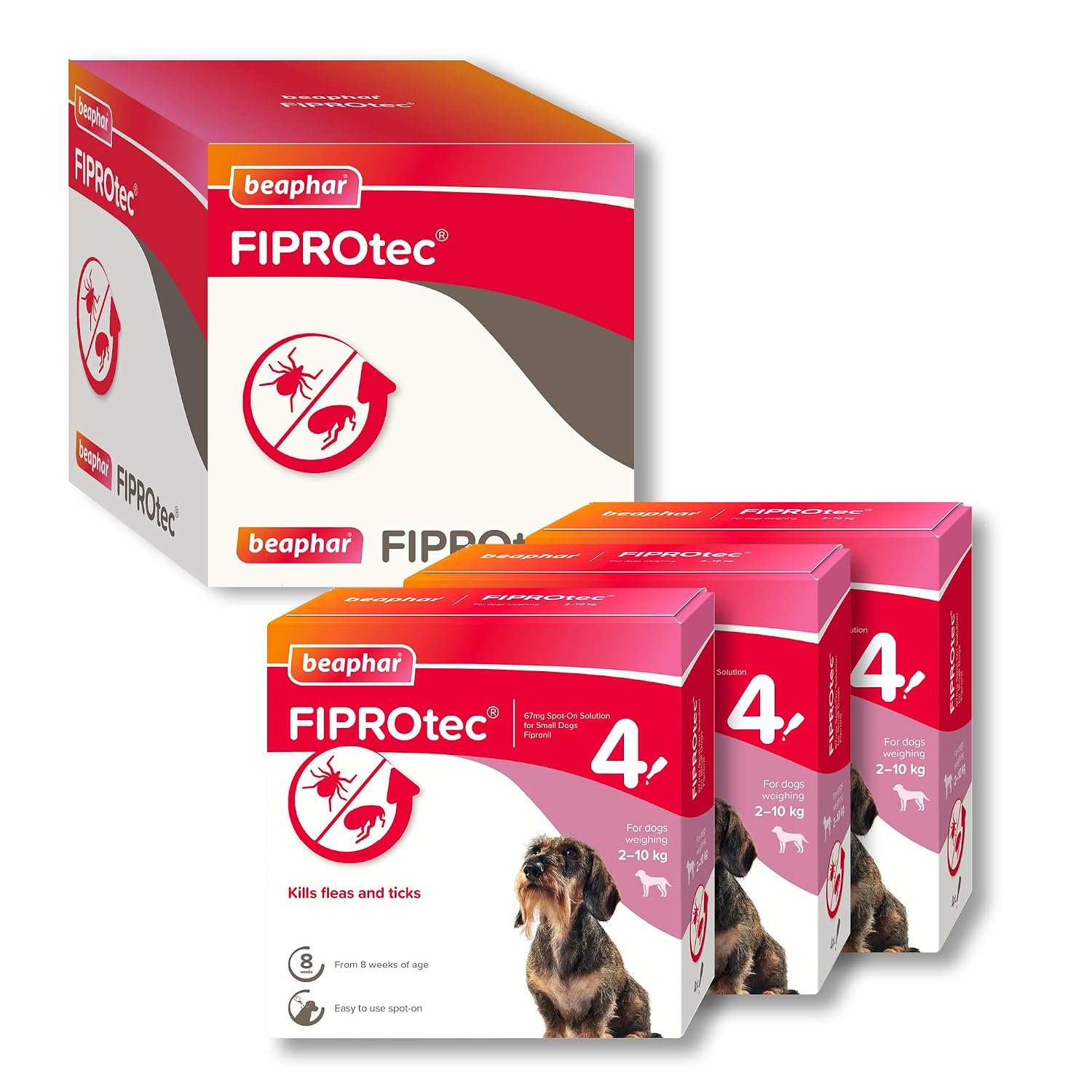 Beaphar - FIPROtec Spot-On Flea & Tick Treatment for Small Dogs 2-10kg - 12 Treatments - Kills Fleas & Ticks – Veterinary Medicine - Easy to Apply Monthly - Suitable for Dogs & Puppies from 8 Weeks