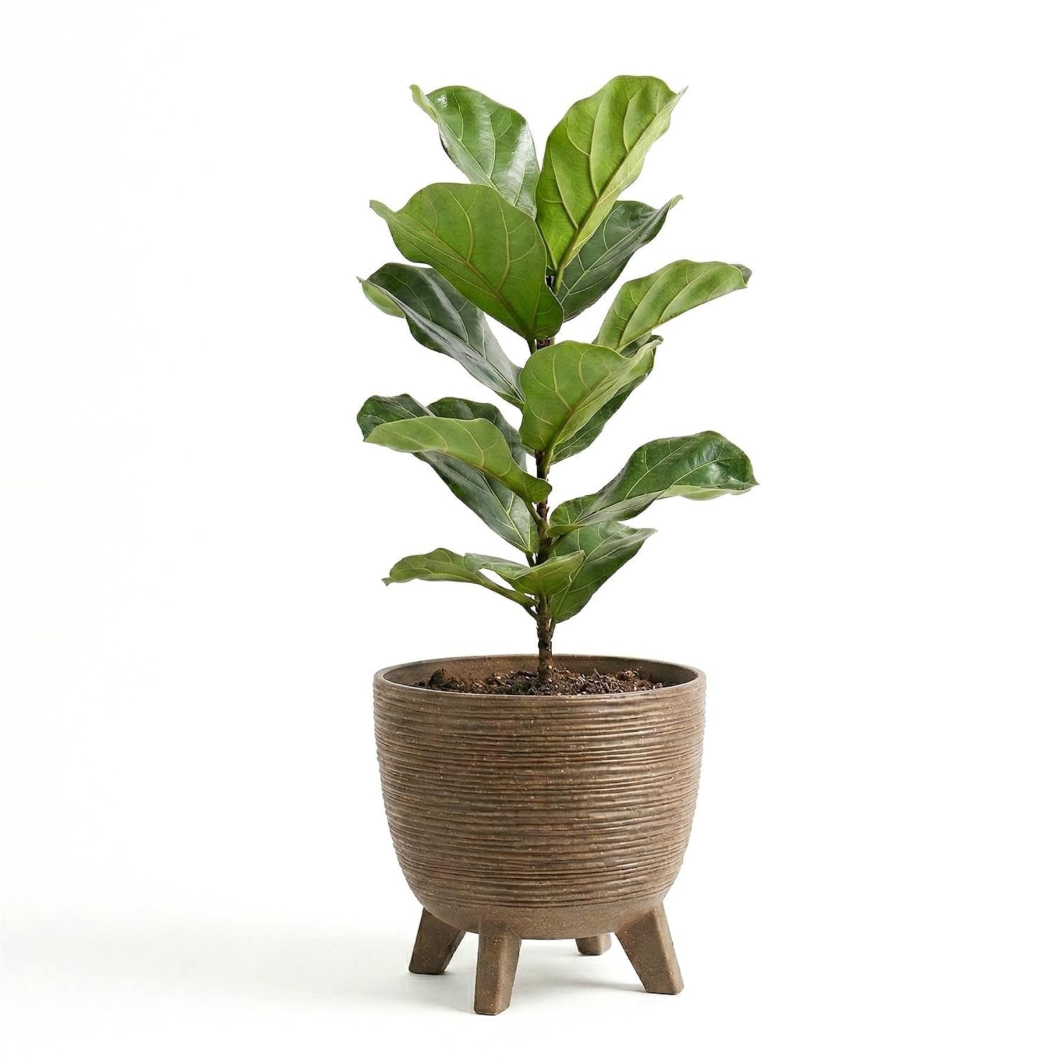 GEEZY Brown Plant Pot with Legs, 39.5 cm - Weather Resistant Indoor & Outdoor Planter - Modern Textured Flower Pot for Living Room, Garden & Patio