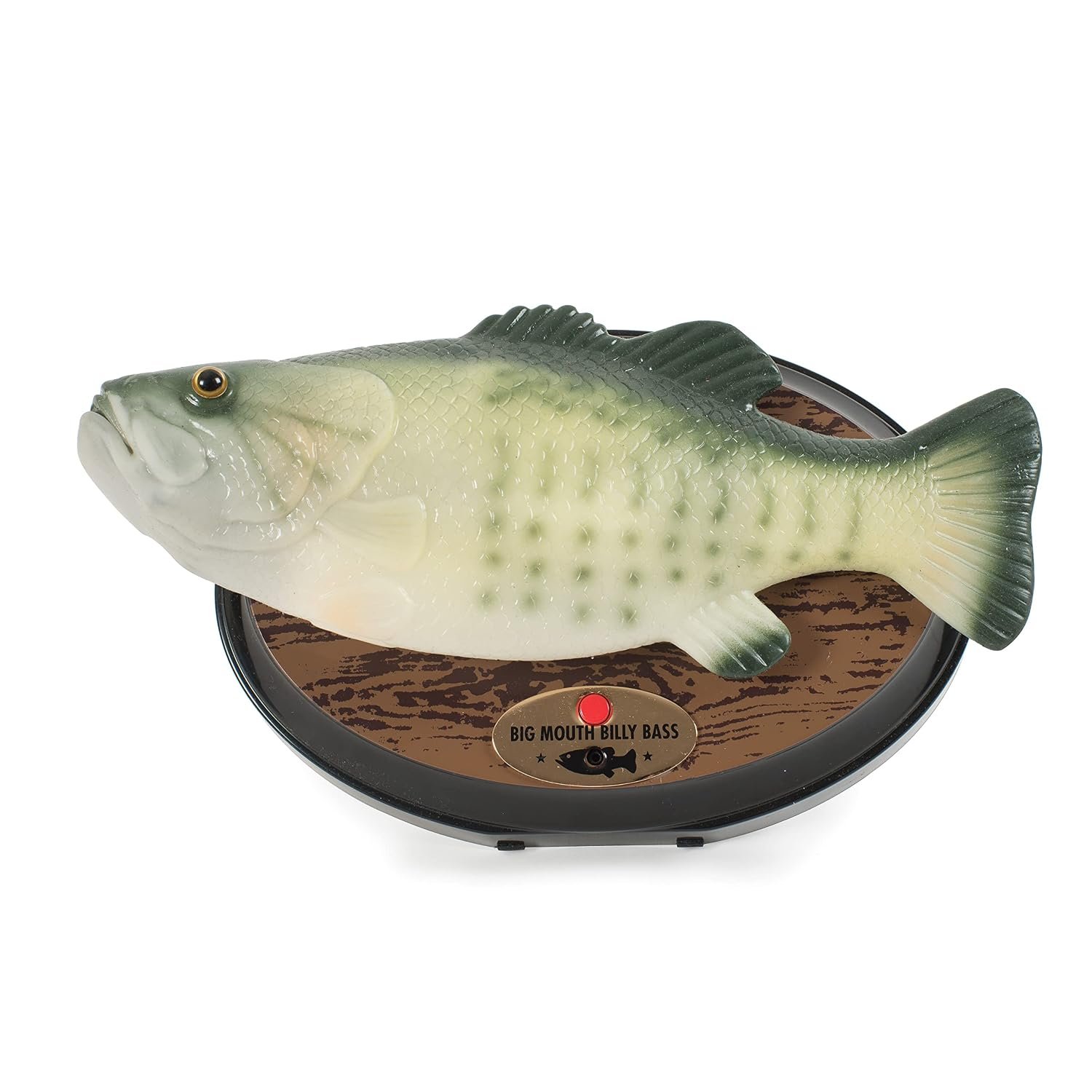 Funtime Gifts SS5600 Singing Sensation Billy Bass- Sings I Will Survive, 28 cm Long Colour Green