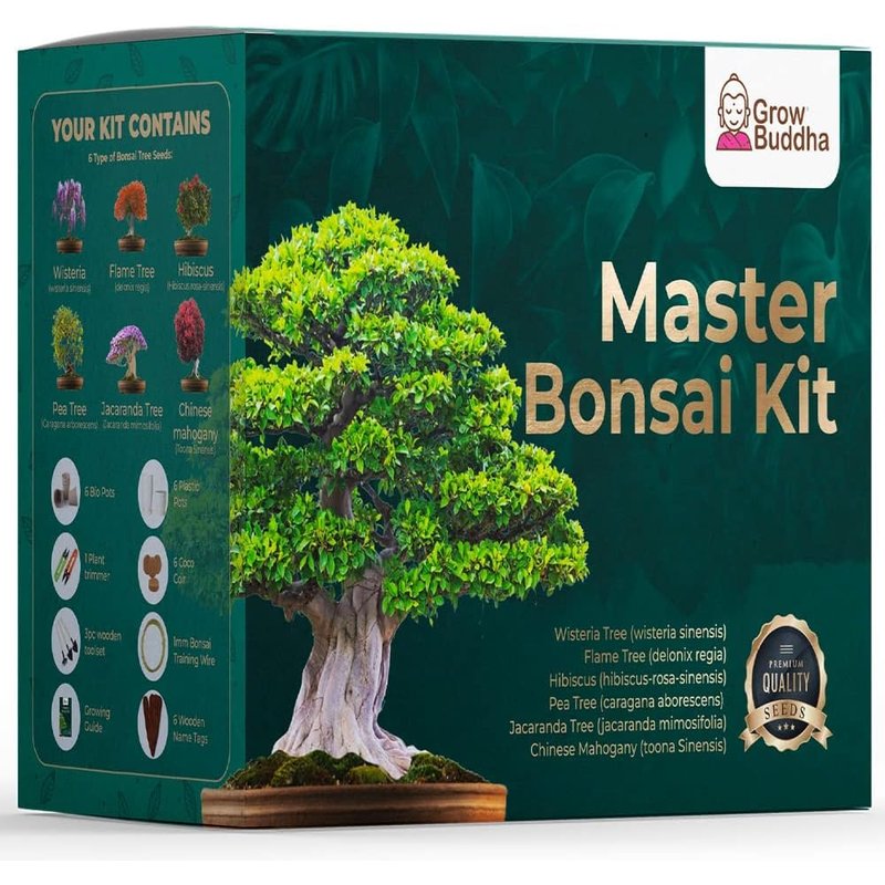 Master Bonsai Kit - Grow Buddha Bonsai Tree Growing Kit - Professional Growing and Styling Bonsai Set - Japanese Bonsai - Become Bonsai Master - Ideal Bonsai Tree Seed Kit for Indoor Garden Gardening