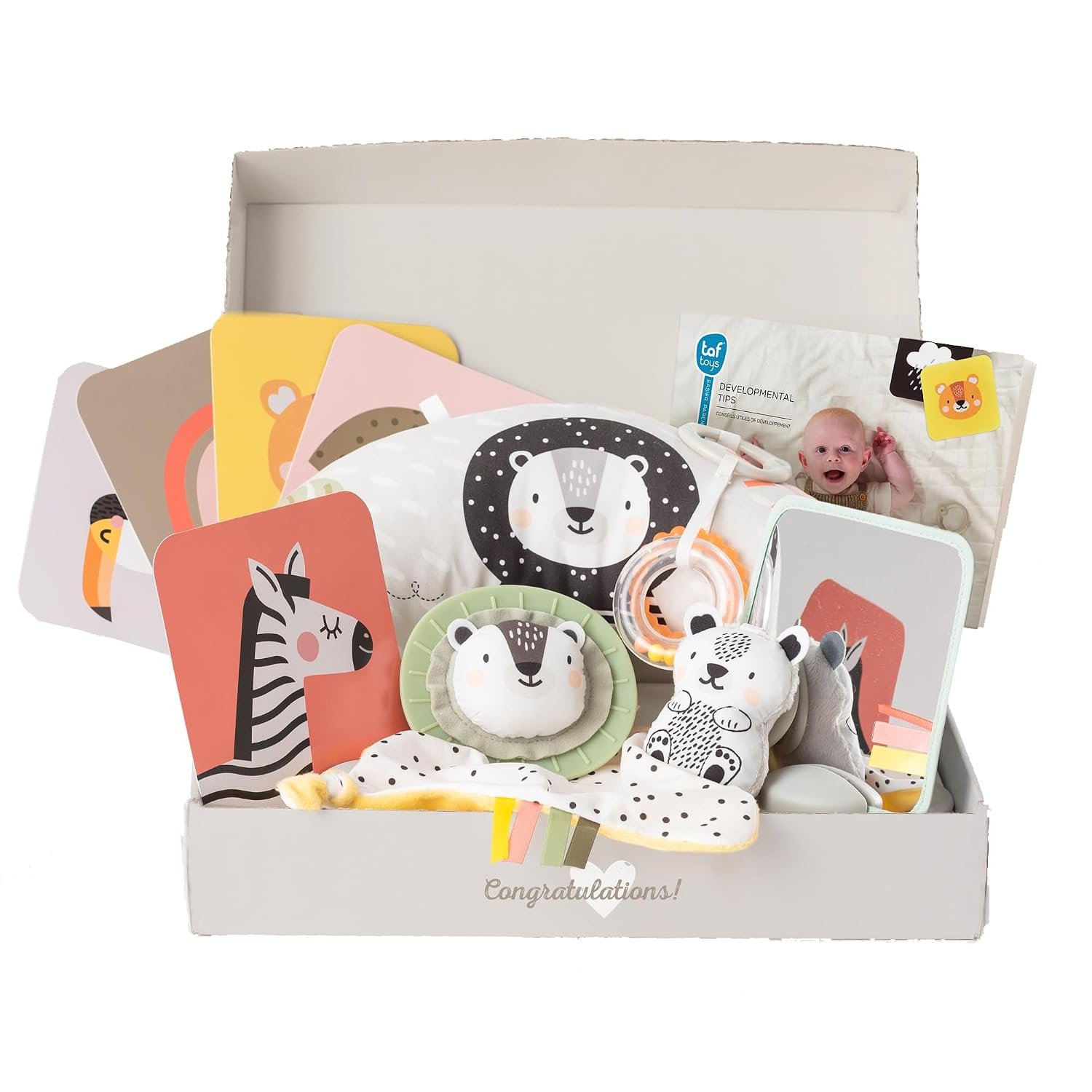 Taf Toys Newborn Gift Set. 12 piece Baby Sensory Box Includes Tummy-time Pillow, Flash Cards, Baby-safe Mirror, Lion Cub and Rattle. Development Kit for Babies. Suitable for Boys & Girls 0 Months +