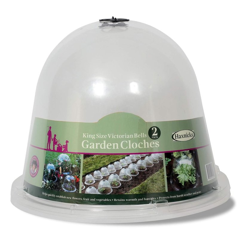 Haxnicks 2 x King size Victorian Bell Garden Cloche Plant Protection | Growing Vegetable | Specimen Plants | Transparent, 31 x 40 cm BELL090101 | 2 Count (Pack of 1)