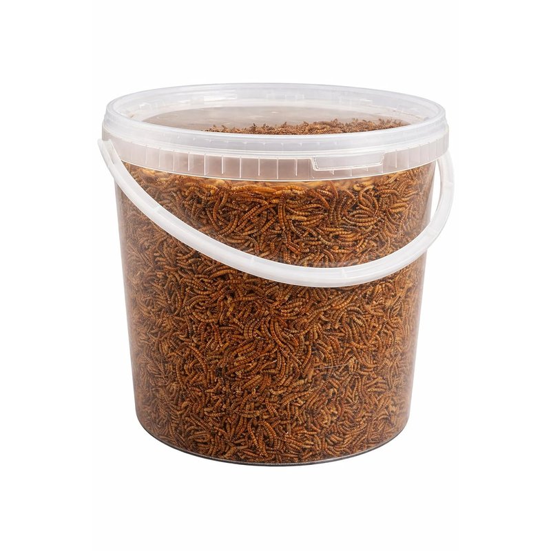 Premium Dried Mealworms, 10 Litre Bucket