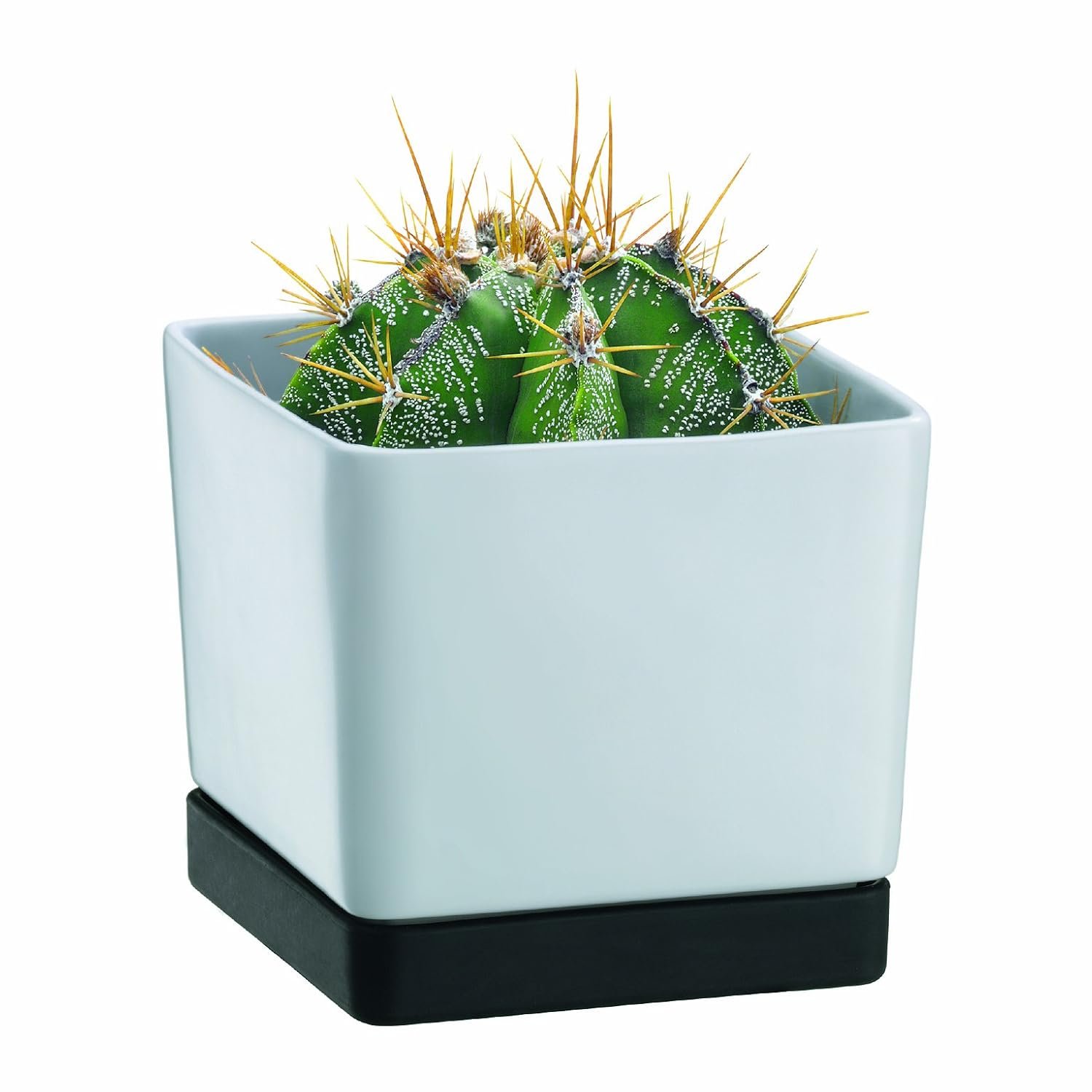 Bodum 10917-03 Flower Pot, Medium Height 12 cm White