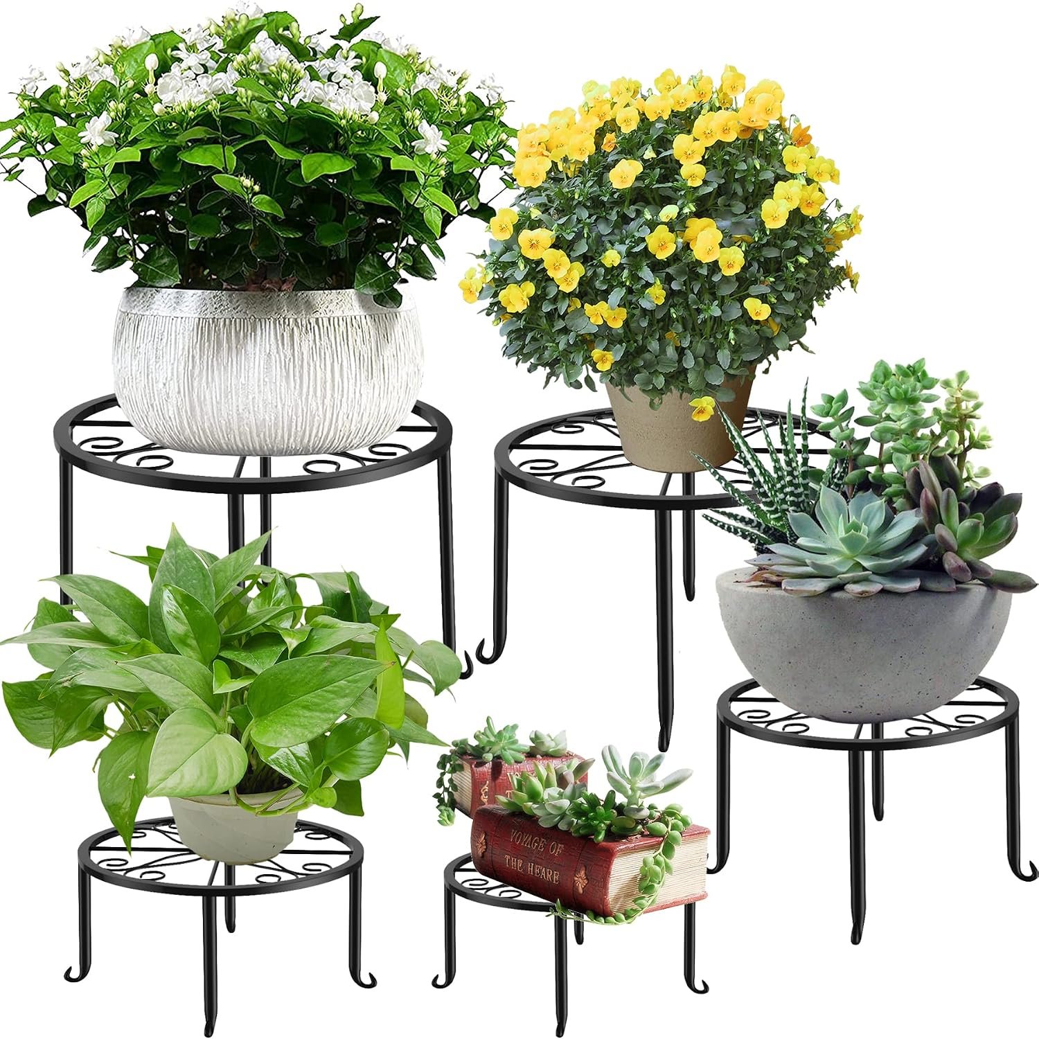 Flaparte 5 Pack Metal Plant Stands, Planter Support Rack, Plant Pot Stand, Planter Holder Heavy Duty, Rust Proof Iron Potted Plant Flower Pot Stand for Indoor Outdoor Garden Patio, Round(5 Size-Black)