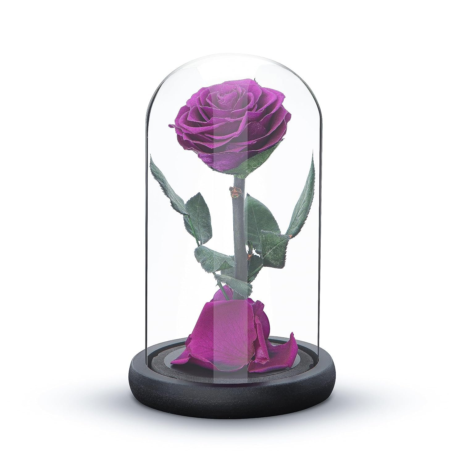 INTIGNIS Purple Preserved Forever Rose in Glass Dome Gift, 20cm Tall Wooden Base