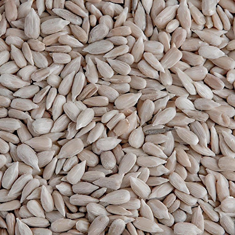 Leagrams Premium Sunflower Hearts (Sunflower Kernels) for Wild Birds – No Mess, High Oil, Bakery Grade High-Energy Feed (12.55kg) Bag