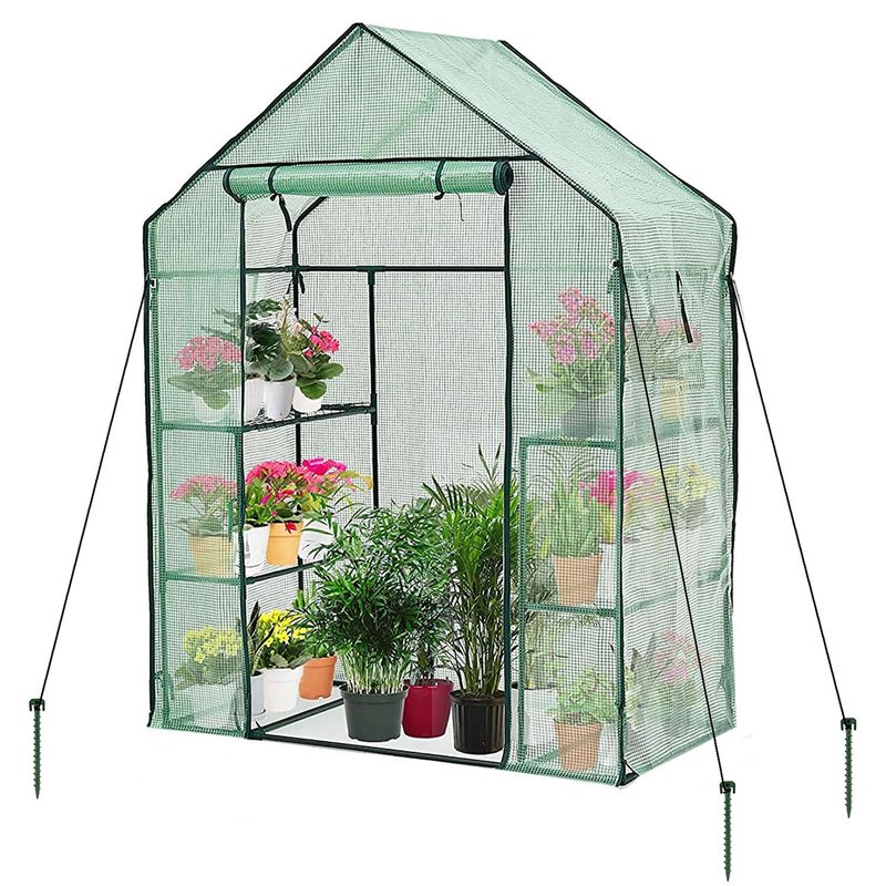 Taylor & Brown Walk In Greenhouse Compact Green House with 4 Shelves and Weatherproof PE Plastic Cover Plant House/Grow House for Garden and Outdoor Roll up Zip Panel Door Easy No Tool Assembly