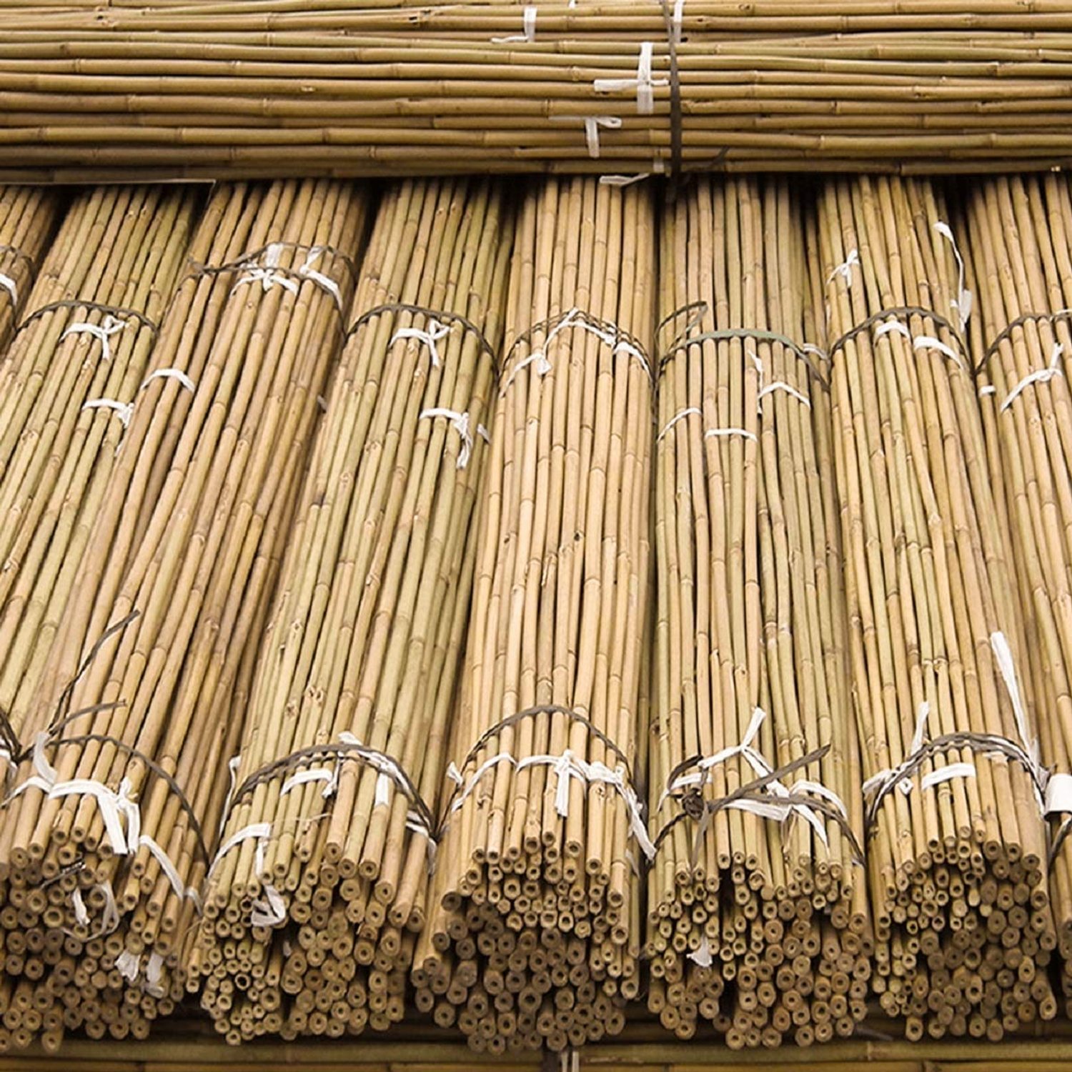 2ft,3ft,4ft,5ft,6ft,7ft,8ft Extra Thick Bamboo Canes Natural Stake, Pole,Garden Plant,Flower Support Sticks Outdoor/Indoor,Balconies, Patios,Heavy Duty Plants Support (100, 8FT-240cm, 14-16mm)