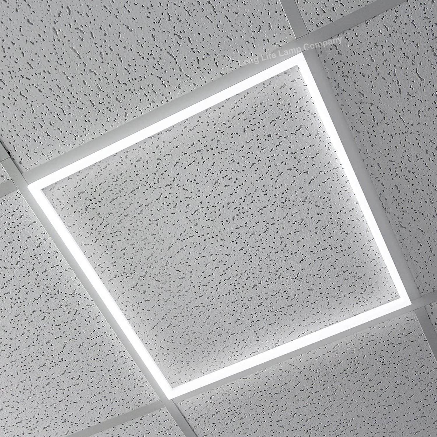 Long Life Lamp Company 40w LED Suspended Ceiling Light Edge Lit Border Frame Panel 600 x 600 Cool White Recessed Ceiling Light