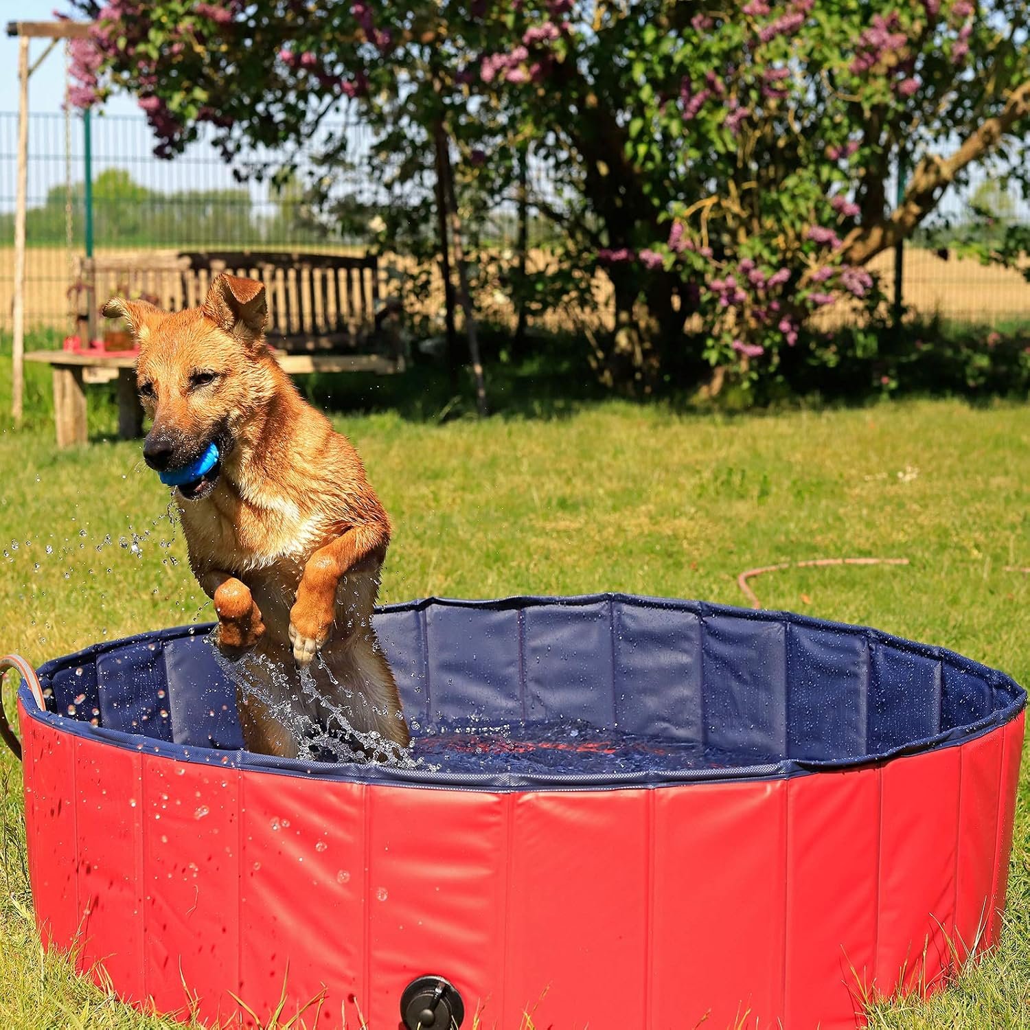 lionto Foldable dog pool made of scratch-resistant PVC material, Ø 120 cm, height 30 cm, anti-slip coating & drain plug for quick emptying, no pump required, robust children's pool, blue/red