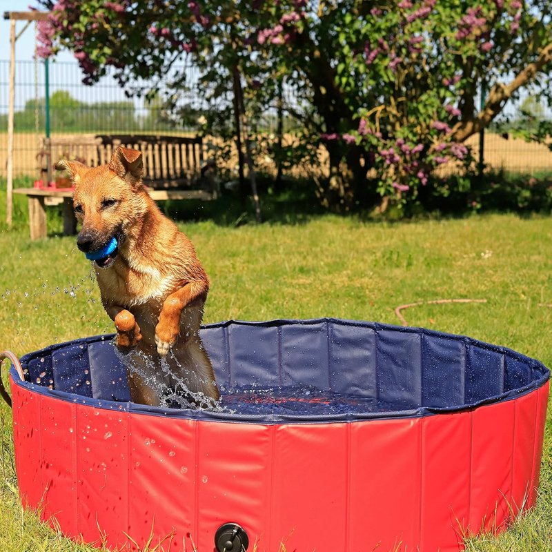 lionto Foldable dog pool made of scratch-resistant PVC material, Ø 120 cm, height 30 cm, anti-slip coating & drain plug for quick emptying, no pump required, robust children's pool, blue/red