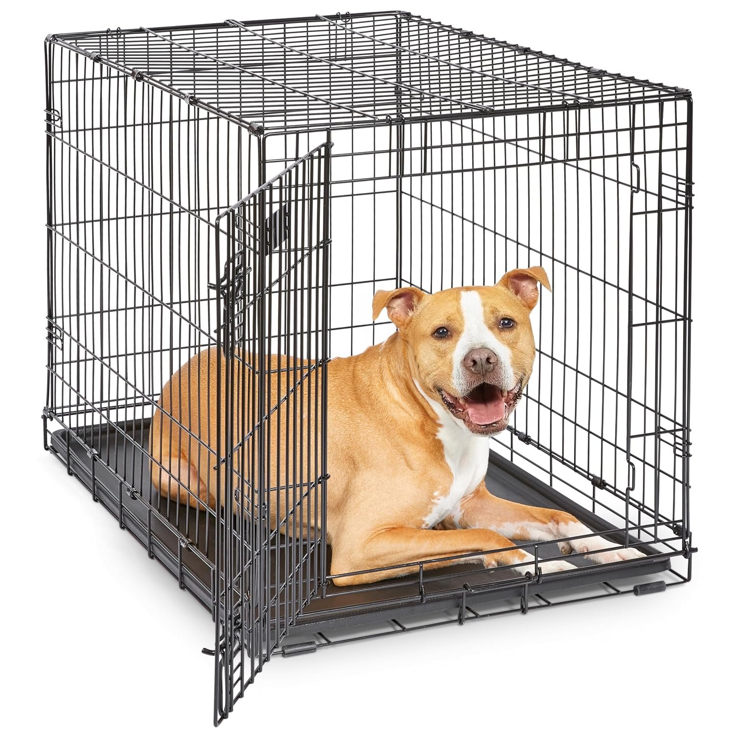 MidWest Homes for Pets 36-Inch iCrate Folding Dog Crate with Divider Panel, Leak-Proof Tray & Secure Latches – Metal Wire Kennel for Medium Large Breeds – Portable, Durable & Easy to Assemble
