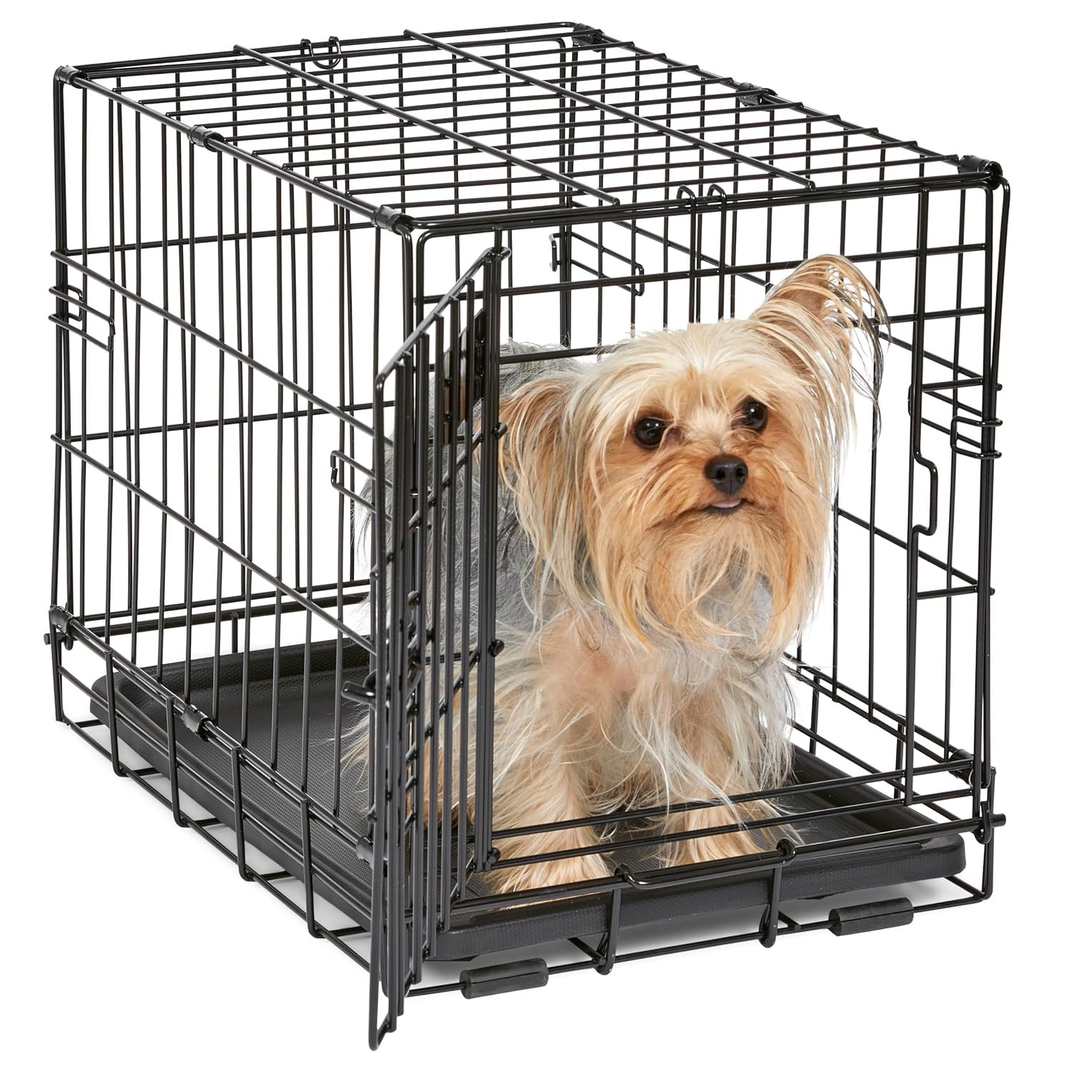 MidWest Homes for Pets 18-Inch iCrate Folding Dog Crate with Divider Panel, Leak-Proof Tray & Secure Latches – Metal Wire Kennel for Tiny Breeds – Portable, Durable & Easy to Assemble